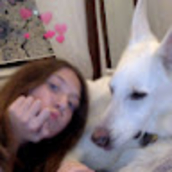 Meet your Posher, Maisie - Picture 1 of 1